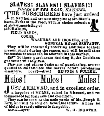 Ad from Natchez Daily Courier, November 27, 1858, reproduced in barnettburkett2001, p. 177.