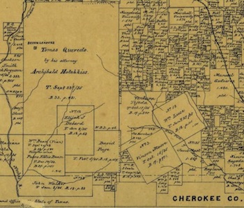 Clip from an 1880 cadastral map of southwestern Smith County, showing the Seven Leagues post office and the Bean grant where Brooks Saline was located.